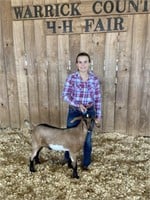 Lena May - Goat