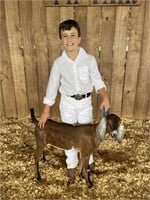 Ezra May - Goat