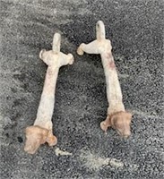 Pair Dog Boot Scrapes made into andirons 21"LOA