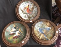 Knowles Bird Plates - Framed