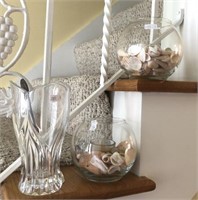 Shells In Glass Bowls And Vase