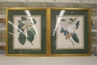 Pair of Framed Magnolia Prints ~ 31" x 35"