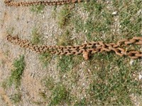 Log chain