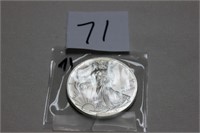 2013 American Silver Eagle