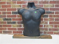 Male Body Torso Mannequin on Wood for Stability
