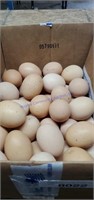 4 Dozen Mixed Eating Eggs