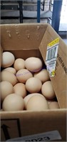 3 Dozen Mixed Eating Eggs