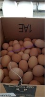 8 Dozen Mixed Eating Eggs