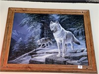 WOLF PICTURE  -  20 x 23"