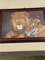 2 TIGER PICTURES  -  16 x 12"