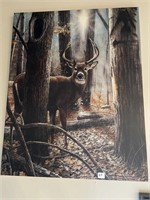 BUCK PICTURE  -  28 x 22"