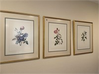 3 Framed Flower Prints