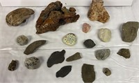 Box of rocks - some with fossils, rose quartz,