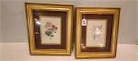 Pair of Flower Pictures in Frames