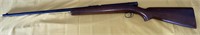 Winchester .22 Long Rifle