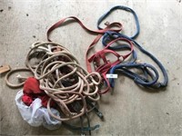 Rope ~ Head Stalls & Reins