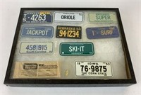Mini License Plates in Display Riker