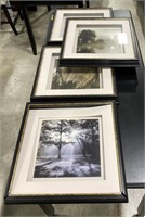 (L) 4 Nature Themed Photos In Frames. 18” x 18”