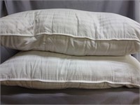 Pair of 20" X 28" Standard Size Gel Pillows