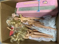 Barbie Dolls and Accessories