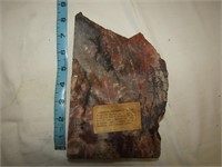 Petrified Wood