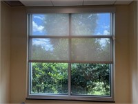 Window Screen Blind