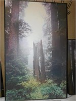 NATURE PICTURES 38" H X 24" W AND 2 OTHERS 24" X
