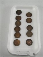 TRAY: 11 CDN LARGE PENNIES 1906 - 19020