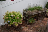 Elevated trough planter and potted plants.