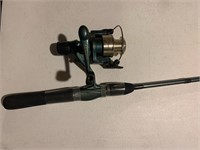 FISHING POLE AND REEL