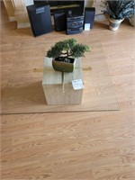 Square Beveled Glass Coffee Table with Plant
