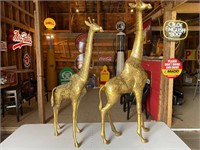 Pair of large brass giraffes