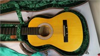 Angelica Acoustic Guitar In Washburn Case