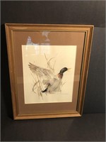 Signed Duck Picture - well done and framed