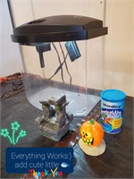 Small Perfect Fish Aquarium with Everything Pictur