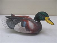Large wood duck