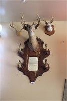 Deer mount coat rack