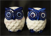 Blue & White Hoot Owl Salt & Pepper Set