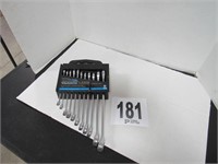 (11) Piece Combo Wrench Set