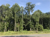 2.56 Acres in Hamburg AR ~ Timber & Hwy 425 Frontg