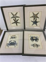 Starfish & crab prints