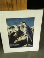 Blue Heron print from Cheaspeake photo gallery