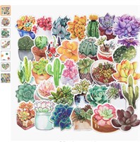 homyu stickers succulent plants