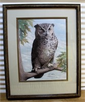 Signed owl print