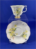 Royal Albert Cup & Saucer