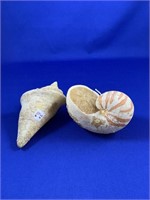 Pair of Sea Shell Candles