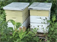 2 active bee hives & bee keeping equipment