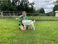 Chapman, Emily Goat