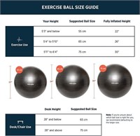 Retrospec Luna Exercise Ball & Pump