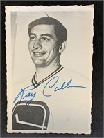 1971 OPC Deckle Edge #31 Ray Cullen Card